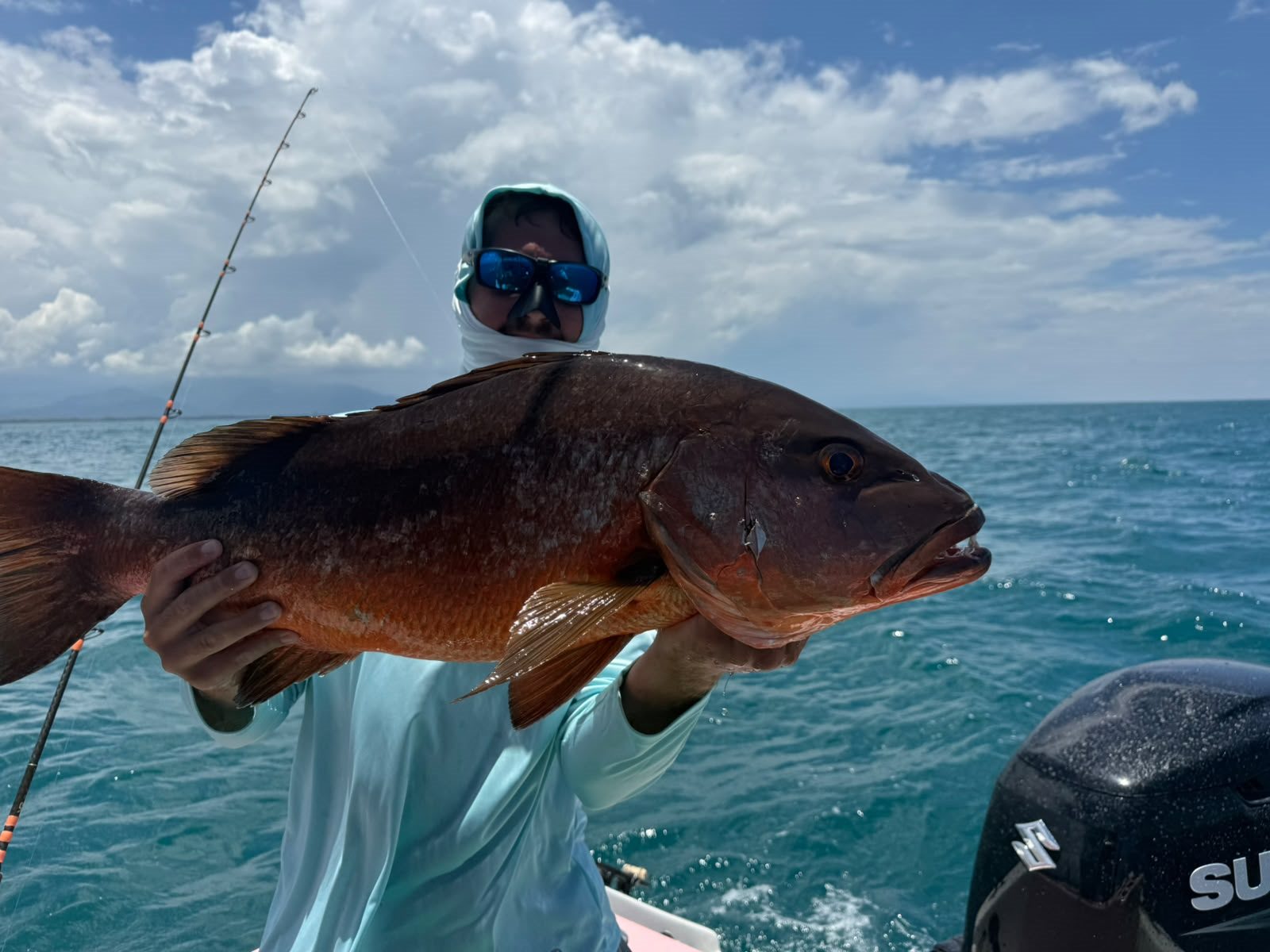 Adult angler displaying a very large dark reef fish